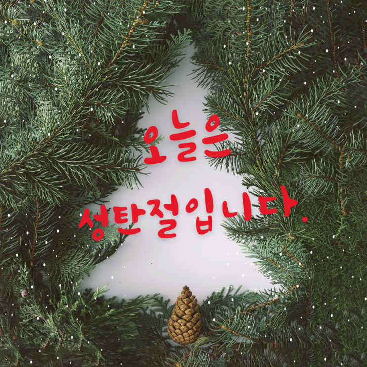 Merry Christmas~성탄절입니다.