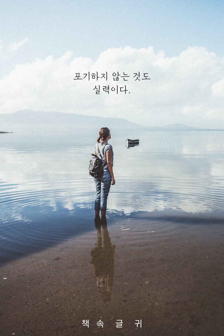 명언 『알렉스 퍼거슨』