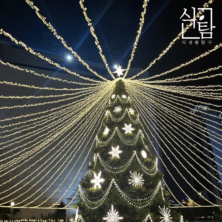  식탐 인스타그램 개설! 메리크리스마스!