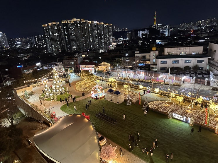  대구 남구 앞산 빨래터 공원 해넘이 전망대 도심 속 2024 연말 크리스마스 트리 겨울 정원축제