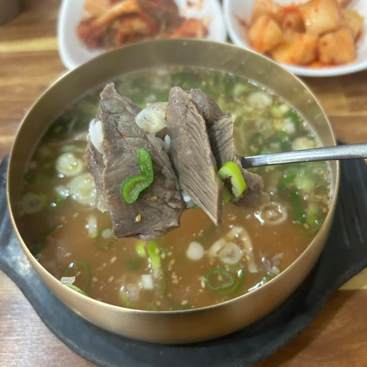  광주 풍암동 점심 맛집 혼밥 해장 추천 금탑소머리국밥