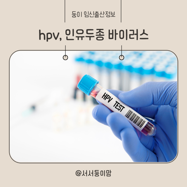  hpv 바이러스 원인 고위험군 검사 인유두종 바이러스