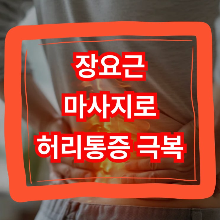  장요근 마사지 효과 위치 허리 통증을 잡는 비밀!