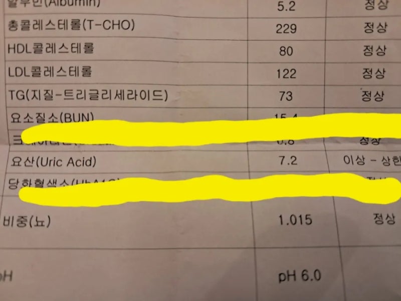 요산 수치 검사