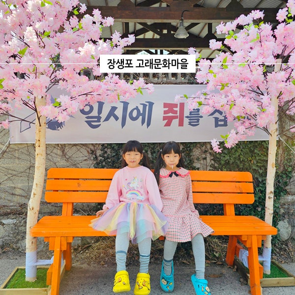  울산 아이와 가볼만한곳 장생포 고래문화마을 놀거리 꽉찬 겨울 데이트코스 주차 tip