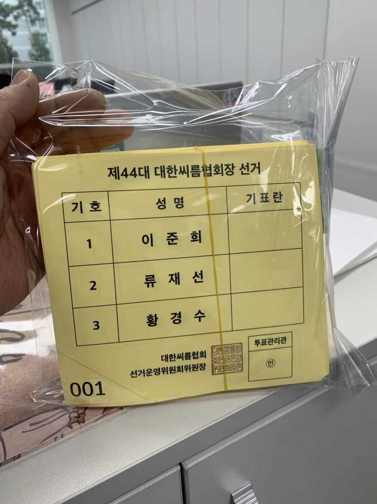 21  '모래판의 신사' <b>이준희</b>, 프로<b>씨름</b> 선수 출신 첫 <b>대한</b>씨... 