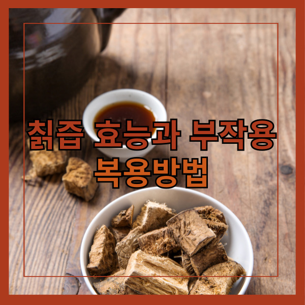  칡즙 효능 5가지와 부작용 및 복용방법 알아보기