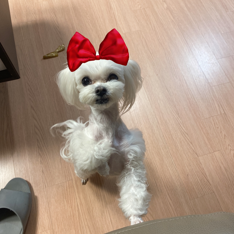 사진 2