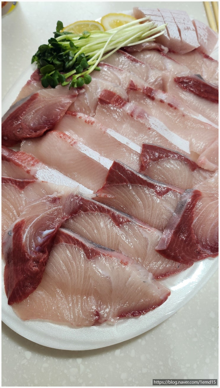  돌아온 대방어철 회 맛있게 먹는 방법