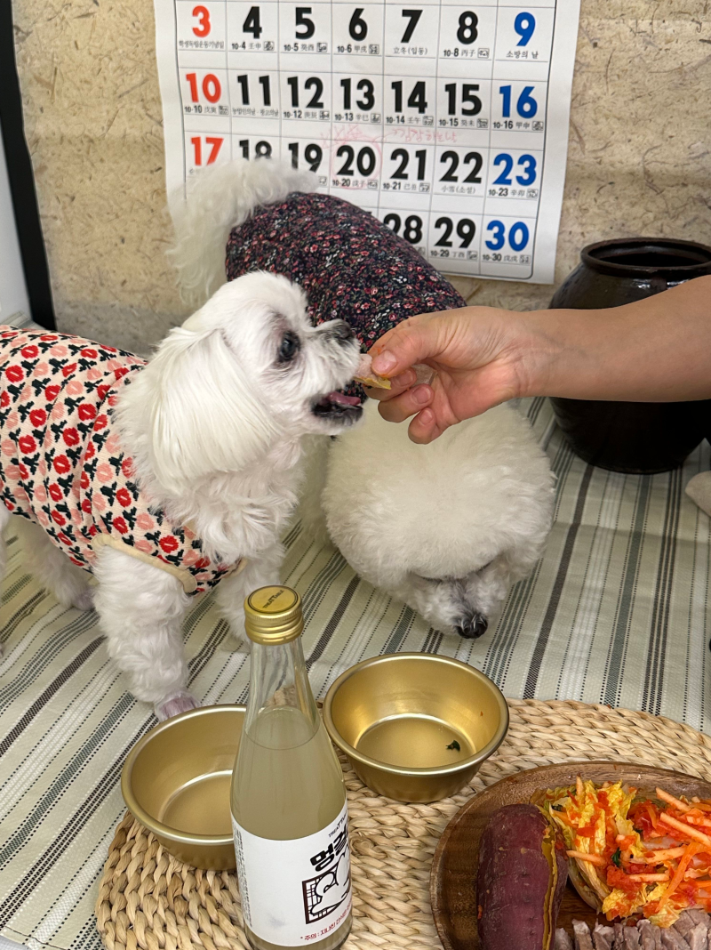 사진 3