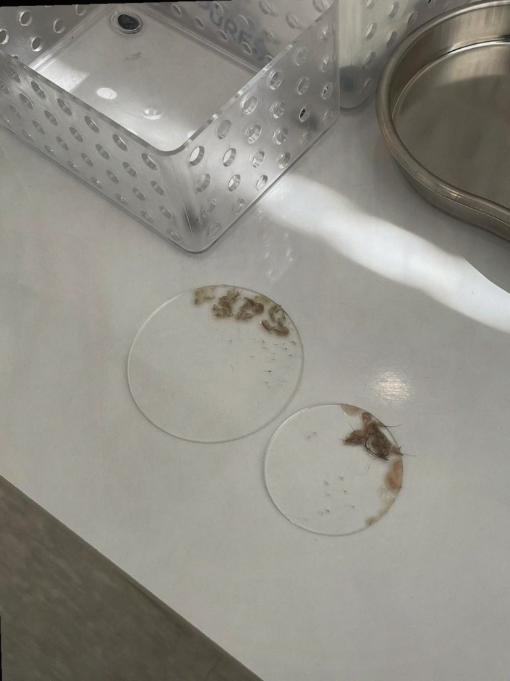  의정부 세라링, 쾌적한 공간과 저렴한 첫방문 할인으로 완벽한 뷰티 경험