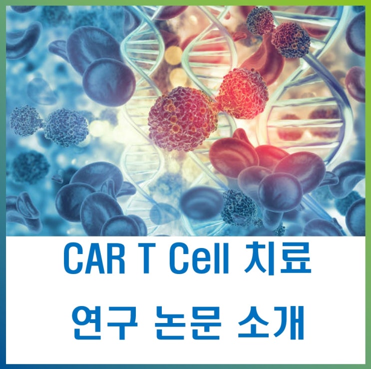  CAR-T 세포 와 항-CD19 단클론 항체를 함께 사용해 치료 효과 극대화, 싱글셀 분석의 시너지