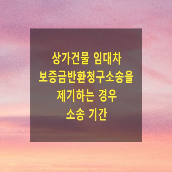  상가건물 임대차 보증금반환청구소송을 제기하는 경우 소송 기간(소액사건심판법)