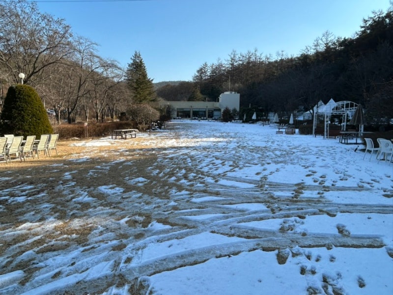 사진 2