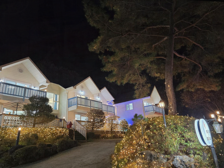  해피스데이애견펜션, 남이섬 내려다보는 환상적인 경치!