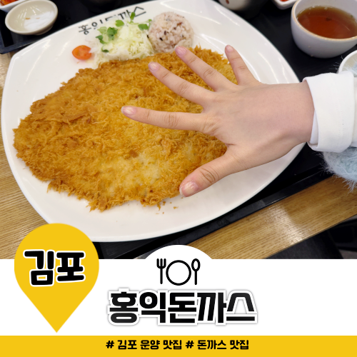 김포 운양 맛집 홍익돈까스 커다란 크기 실화인가요 김포 운양 맛집 홍익돈까스 커다란 크기 실화인가요