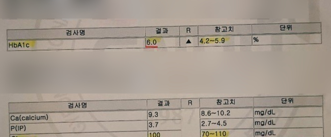  당화혈색소 6.0 공복 정상이라면 두가지 실천 영양제X