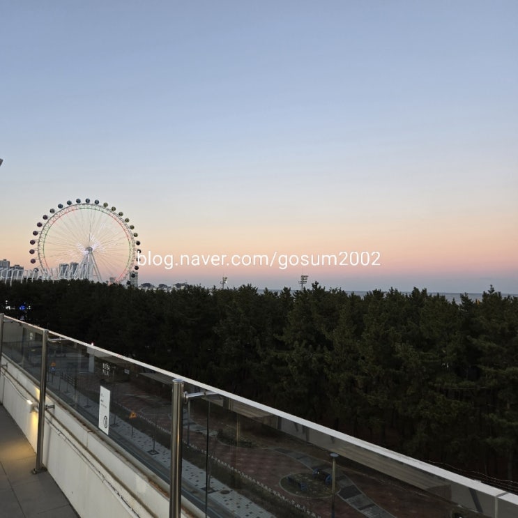  속초아이가 보이는 속초 카페 "보사노바 커피로스터스 속초점" 추천