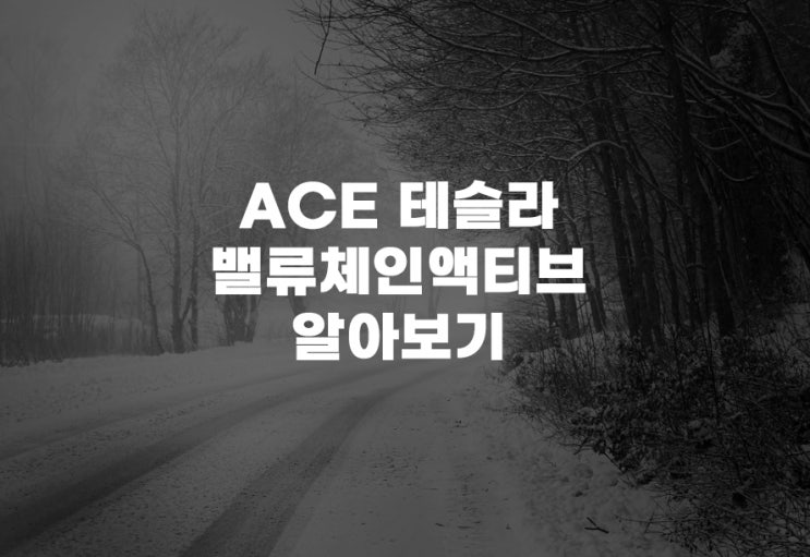  ACE 테슬라밸류체인액티브[457480] ETF 주식 주가 분석 전기차 배터리 반도체 공급망 투자