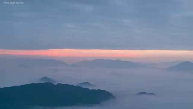  아동교육지도사 무료 교육 , 아동교육지도사 자격증 합격한 팁 정리했어요