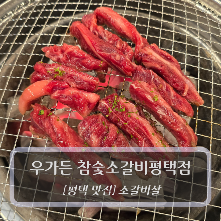  평택 맛집 :: 우가든 참숯소갈비 평택점 - 죽백동고기집