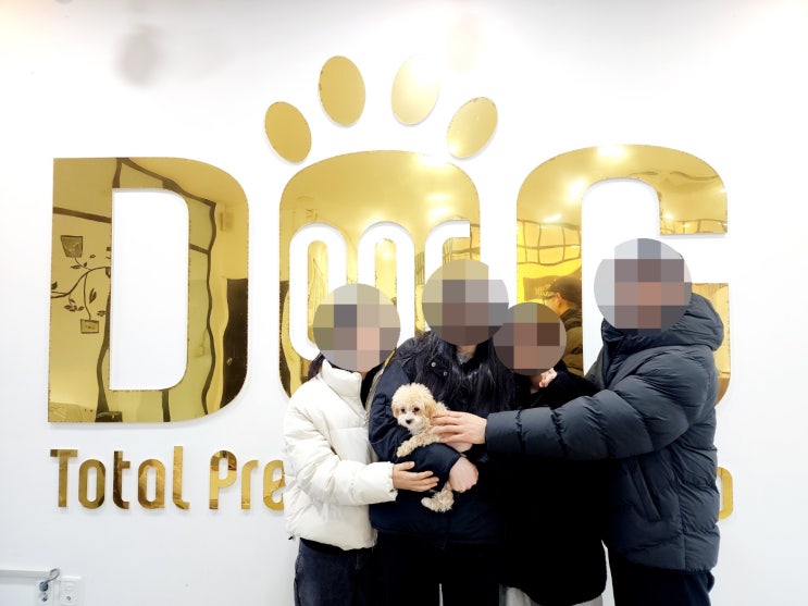  세종시 강아지분양 전문 원독 애견분양 센터/ 아이들에게 사랑과 책임감을, 말티푸 분양