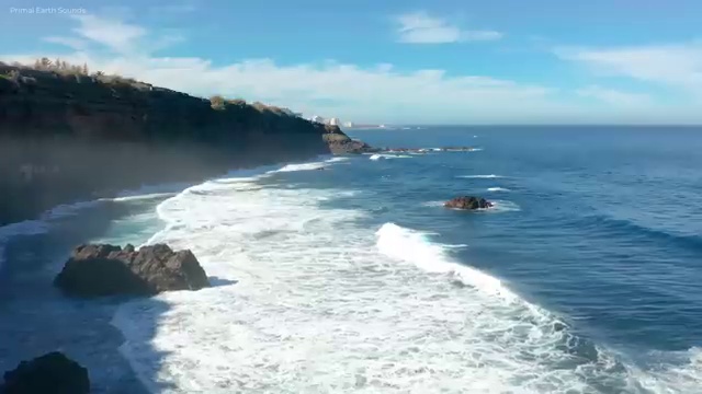  , 반려동물관리사 자격증 합격정보 정리