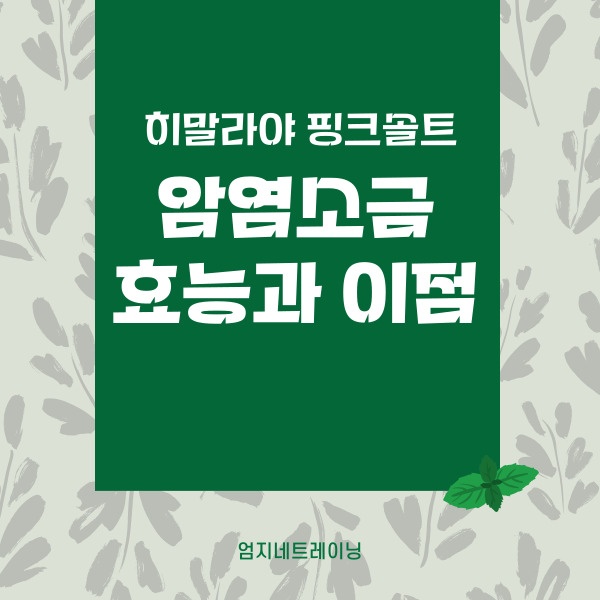  암염소금 핑크솔트의 효능을 통해 알아보는 이점