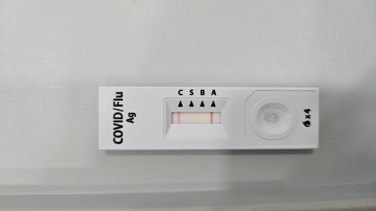  크리스마스는 A형 독감과 함께 - 독감 증상, 초등학생 페라원스 수액 후기