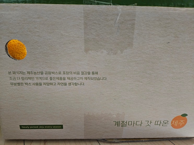  제주깨비농원 조생감귤 4.5kg 중대과 톡딜가 9.900원