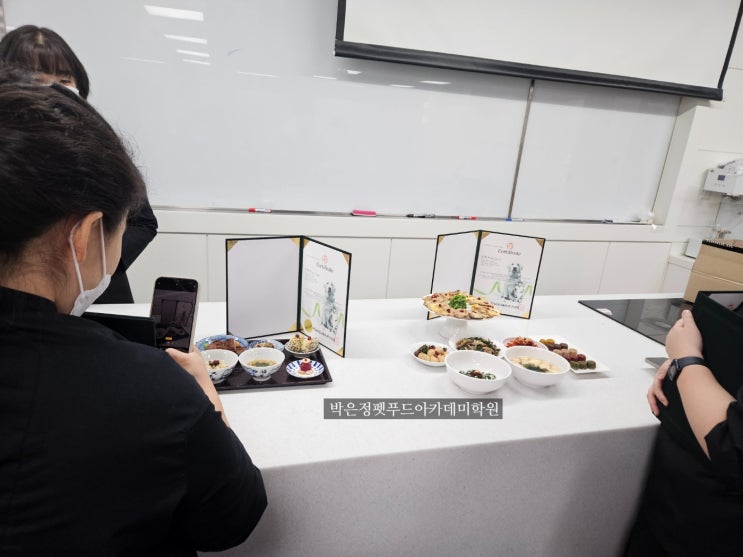  반려동물영양학 기반 펫푸드 국비 학원