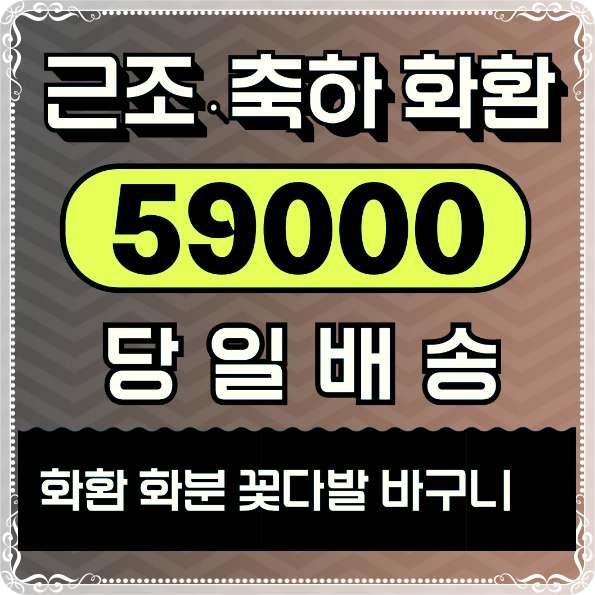  꽃화한 배달 근처꽃집 당일 배송 찾으신다면