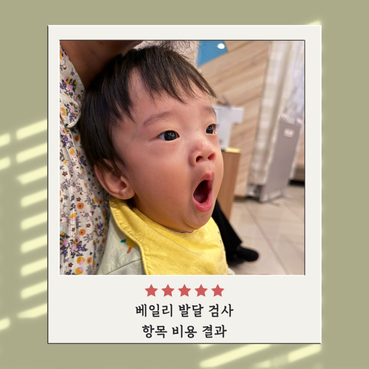 베일리 발달검사 항목 비용 결과 아이 성장 발달 평가 베일리 발달검사 항목 비용 결과 아이 성장 발달 평가