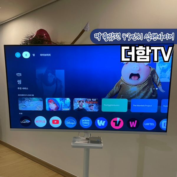 나만의 더함 삼탠바이미 43인치 구글TV 세팅법