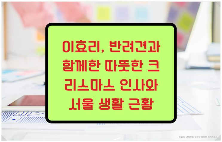 <b>이효리</b>, <b>반려견</b>과 함께한 따뜻한 크리스마스 인사와 서울 생활... 