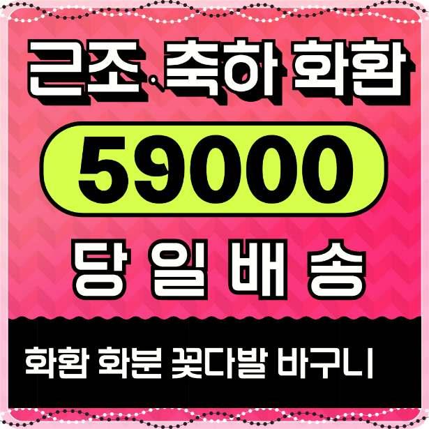  화환꽃배달 당일 배송 근처꽃집 비용 싼곳 찾으신다면