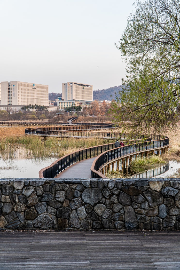  전주 혁신도시 가볼만한곳 볼거리 밤산책하기 좋은 기지제수변공원