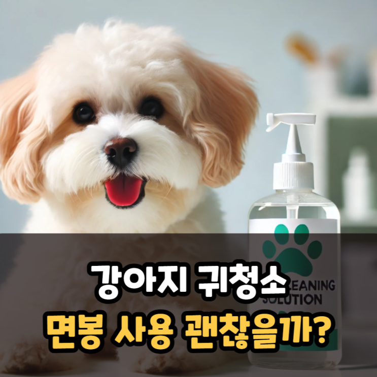  강아지 귀청소 면봉 사용 괜찮을까?