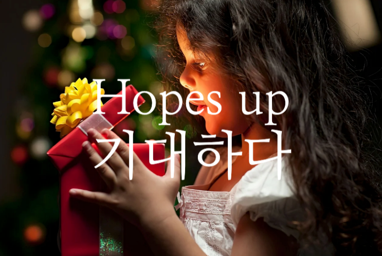  hopes up - 기대하다 영어로