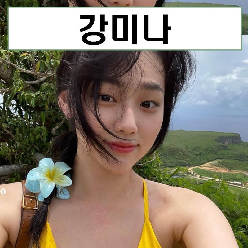 강미나 프로필 MBTI 나이 몸매 키 기안84 구구단 비키니