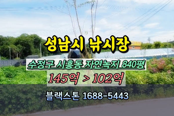  성남시 실외낚시장 경매 수정구 시흥동 1천평 100억