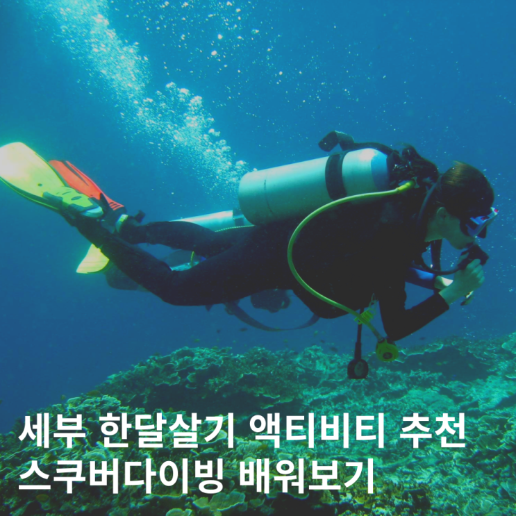  세부 한달살기 액티비티 추천 스쿠버다이빙 배워보기