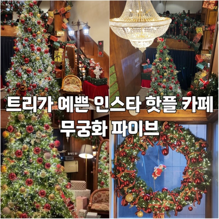  인스타 핫플 크리스마스 트리가 예쁜 카페 추천 무궁화파이브
