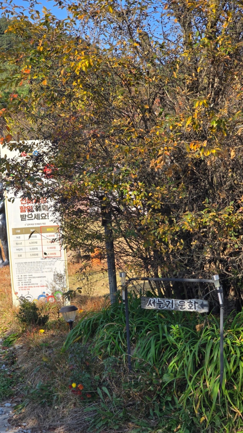 사진 5