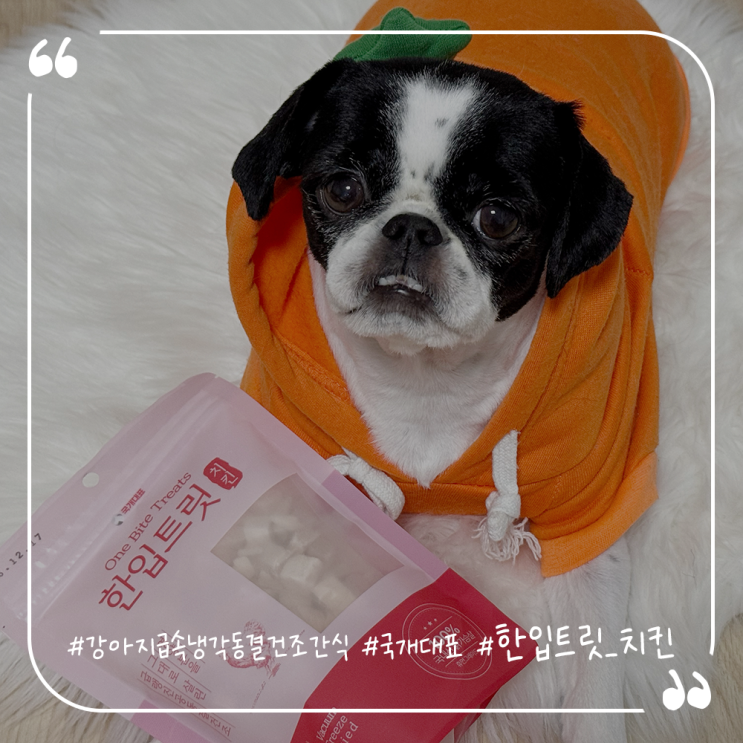  강아지급속냉각동결건조간식추천 국개대표 한입트릿 치킨