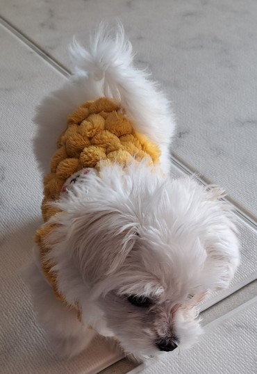 멍필드 사진 2