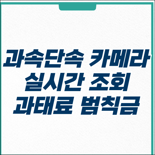  과속 단속카메라 조회 방법 실시간 과태료 범칙금 전환