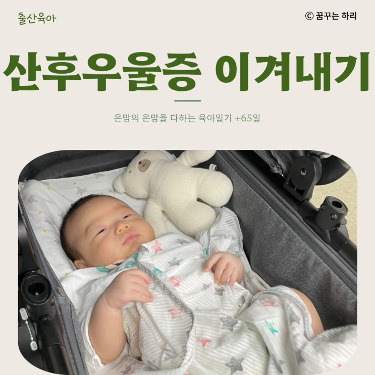  온맘의 육아일기 D+65일 10주차 수유텀 수면시간 산후우울증 영도구보건소 산후우울증 교육 후기