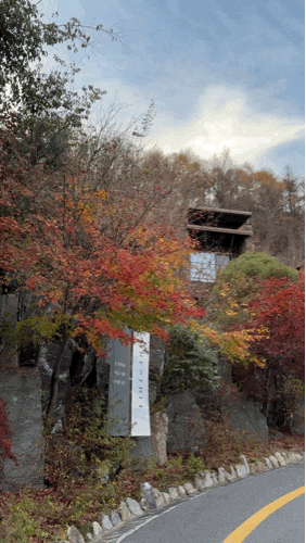  제천 겨울 가족여행 리솜 포레스트 부대시설 가볼만한곳 총정리