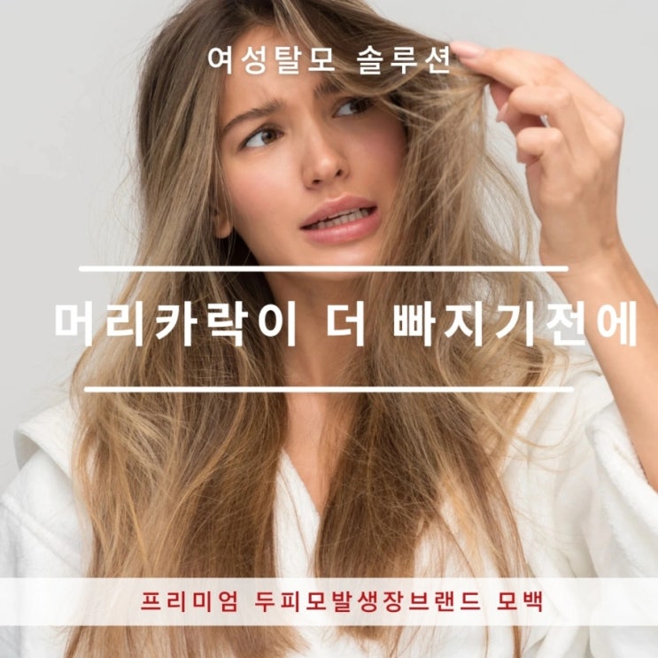  ◽나도 여성 탈모? 모백(MO1OO)부산 교육 지사 주르 에스테틱
